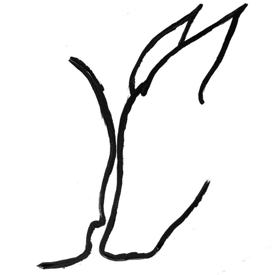 Canidé Sagace